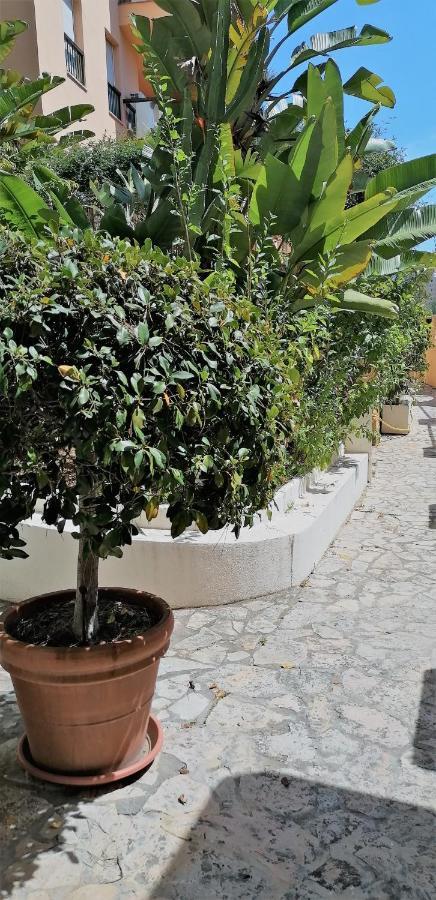 Beach & Golf Design Apartment Marbella Exterior foto